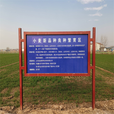 小麥新品種繁育區(qū)