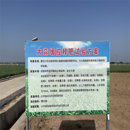 大蒜緩控釋肥試驗(yàn)