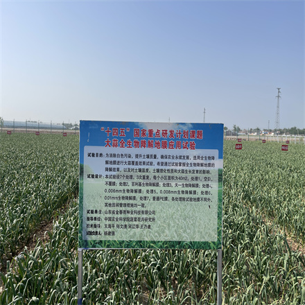 “十四五”國(guó)家重點(diǎn)研發(fā)計(jì)劃課題 大蒜全生物降解地膜應(yīng)用試驗(yàn)