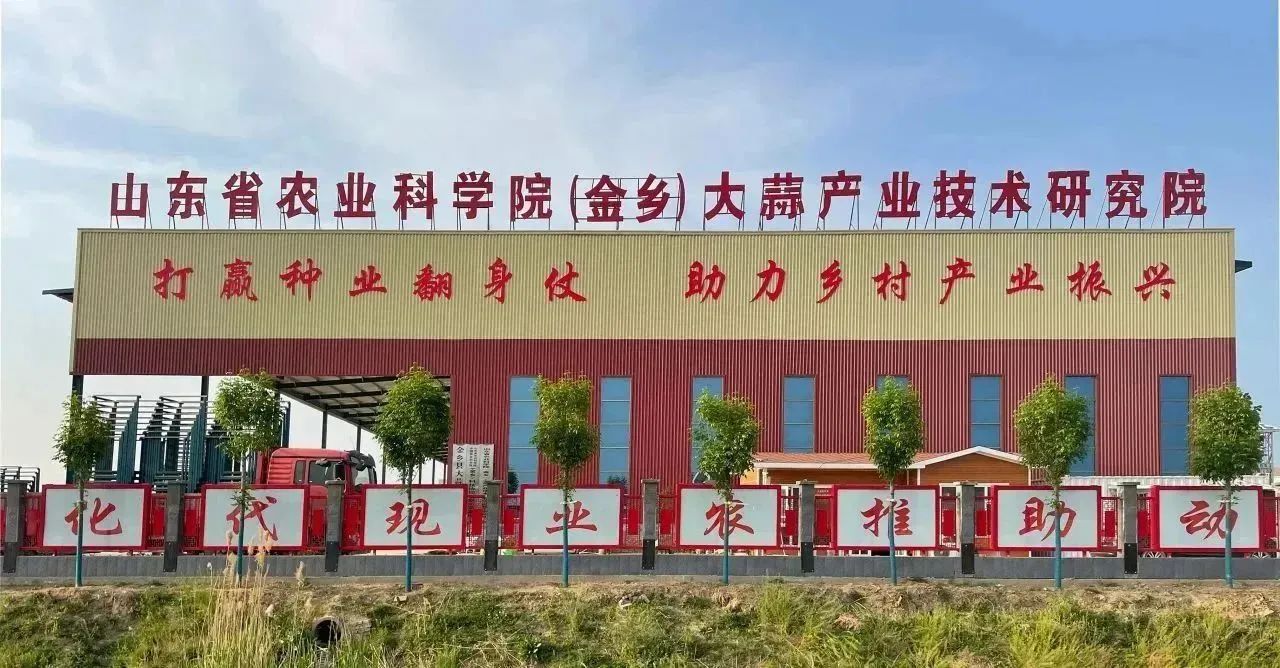 新老結(jié)對(duì)傳幫帶，凝心聚力譜新篇